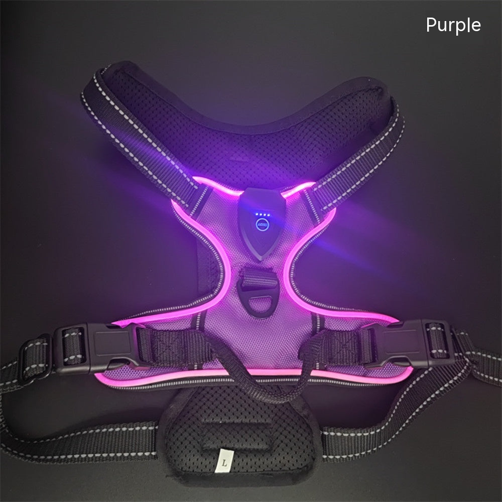 LED Luminous Pet Safety Vest for Dogs & Cats | Adjustable Night Walking Vest for Visibility & Accident Prevention