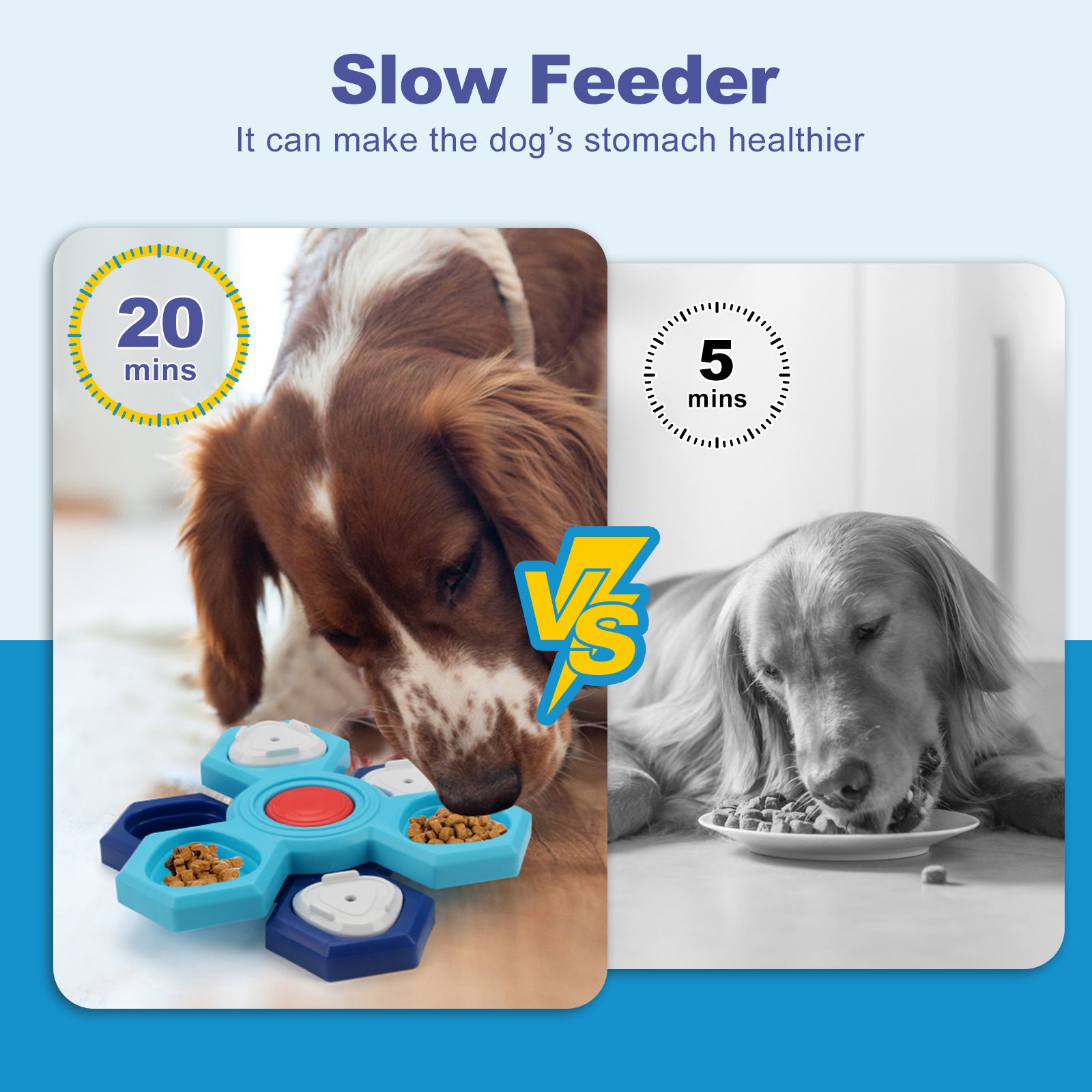 4-Layer Slow Feeder Puzzle Dog Bowl | Interactive Anti-Gulping Food Bowl for Healthy Digestion & Mental Stimulation