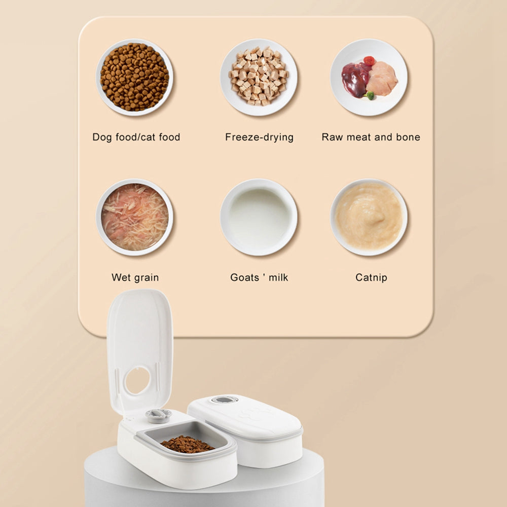 Automatic Pet Feeder for Dogs & Cats | Smart Timed Food Dispenser with Stainless Steel Bowl