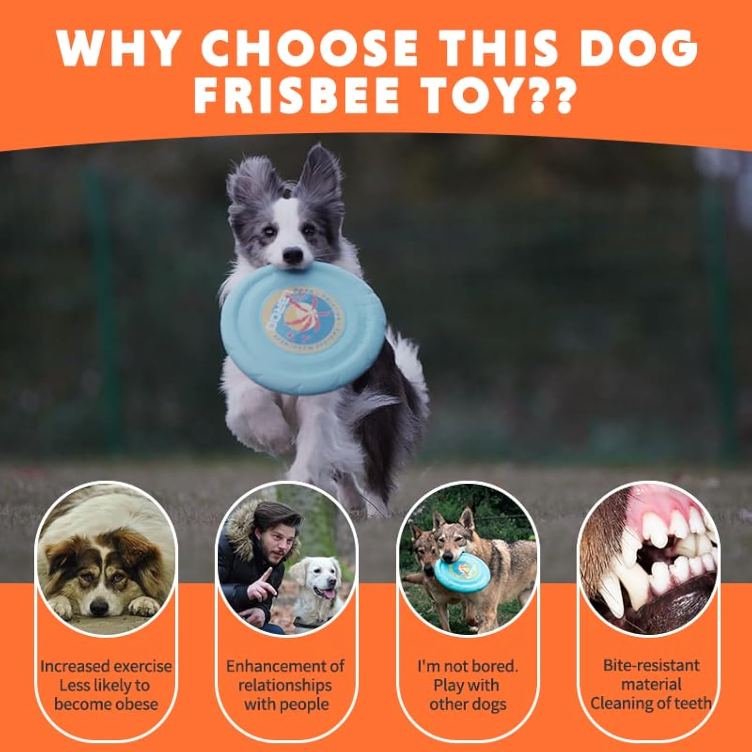 Durable Dog Flying Disc | Soft Safe Frisbee Toy for Medium & Large Dogs – Interactive Outdoor Play & Training (Summer Fun)