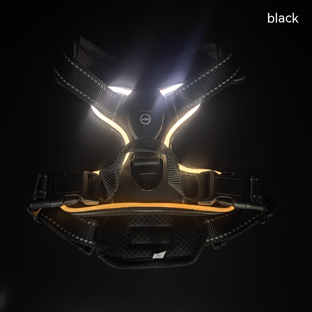 LED Luminous Pet Safety Vest for Dogs & Cats | Adjustable Night Walking Vest for Visibility & Accident Prevention