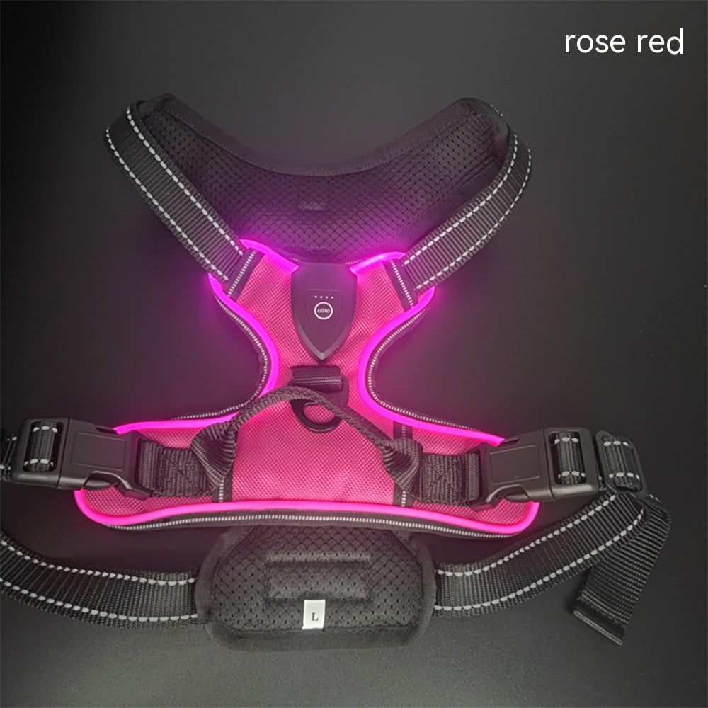 LED Luminous Pet Safety Vest for Dogs & Cats | Adjustable Night Walking Vest for Visibility & Accident Prevention