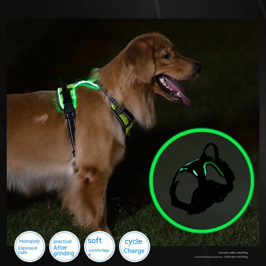 LED Luminous Pet Safety Vest for Dogs & Cats | Adjustable Night Walking Vest for Visibility & Accident Prevention