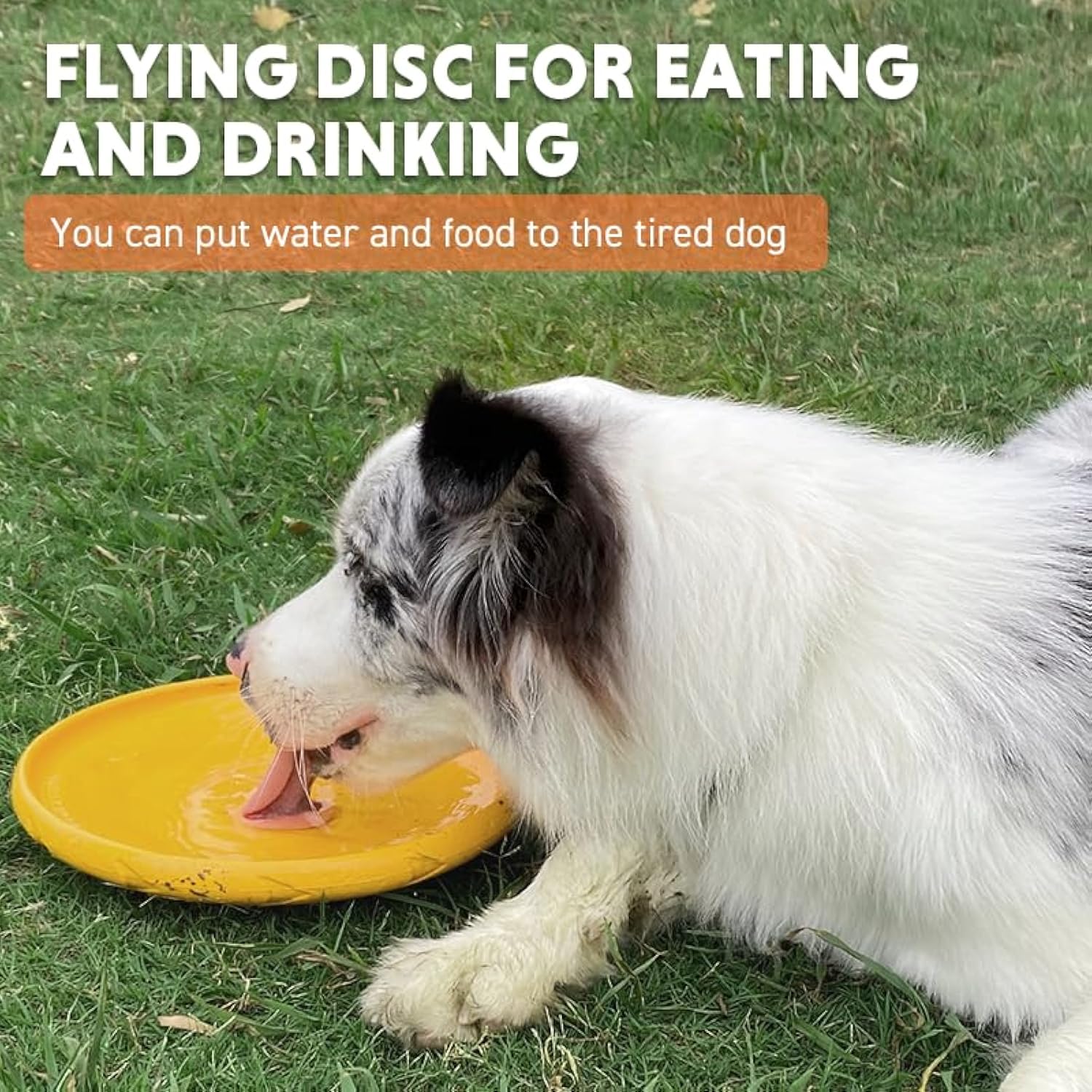 Durable Dog Flying Disc | Soft Safe Frisbee Toy for Medium & Large Dogs – Interactive Outdoor Play & Training (Summer Fun)