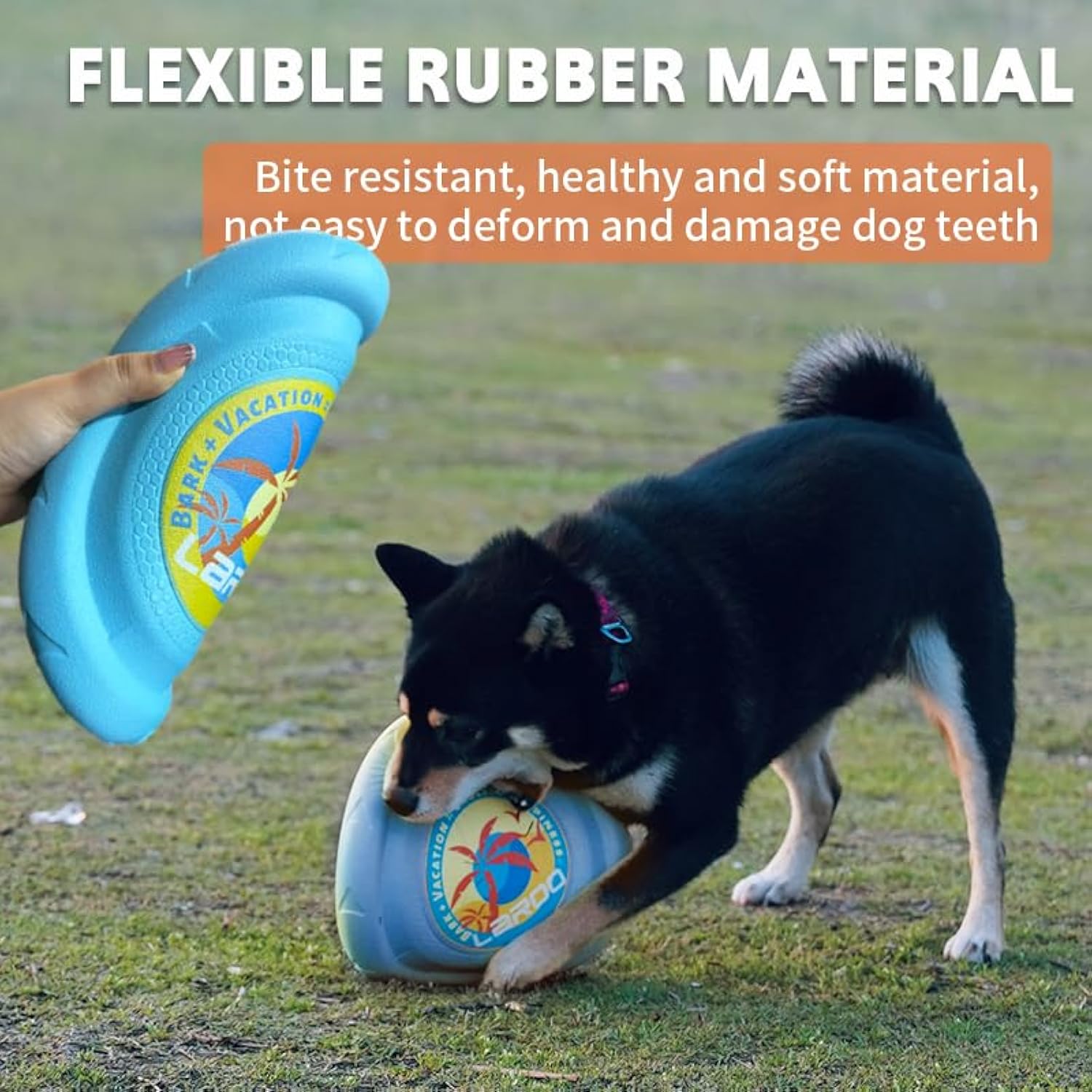 Durable Dog Flying Disc | Soft Safe Frisbee Toy for Medium & Large Dogs – Interactive Outdoor Play & Training (Summer Fun)