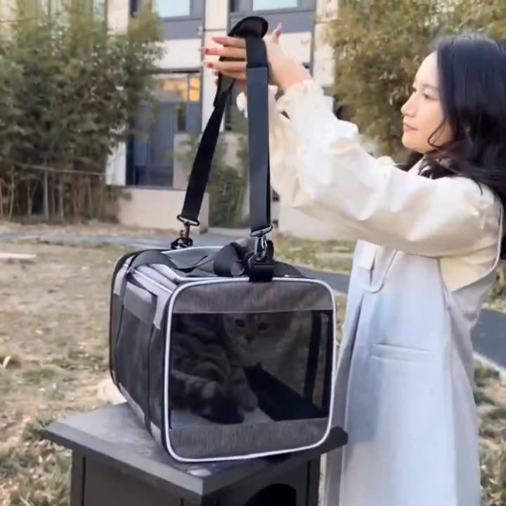 Portable Dog & Cat Carrier Bag | Breathable Lightweight Travel Pet Bag for Small Pets – Comfortable Carry for Daily Use & Outdoor Trips