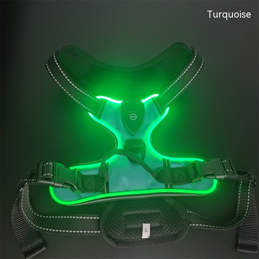 LED Luminous Pet Safety Vest for Dogs & Cats | Adjustable Night Walking Vest for Visibility & Accident Prevention