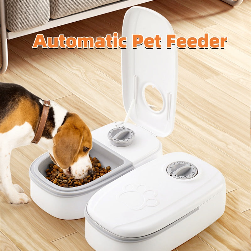 Automatic Pet Feeder for Dogs & Cats | Smart Timed Food Dispenser with Stainless Steel Bowl