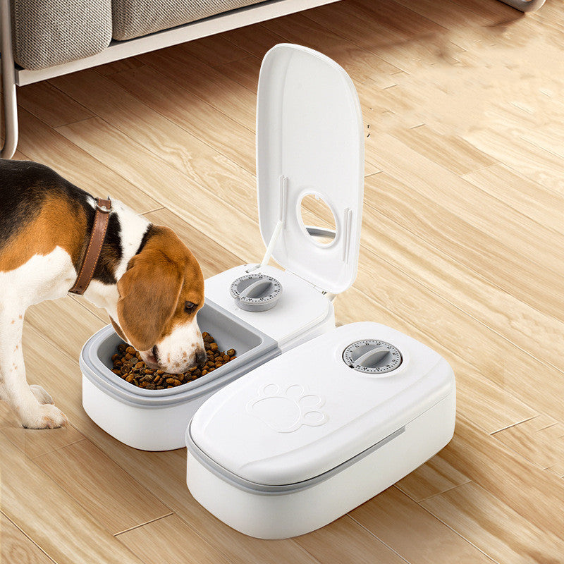 Automatic Pet Feeder for Dogs & Cats | Smart Timed Food Dispenser with Stainless Steel Bowl